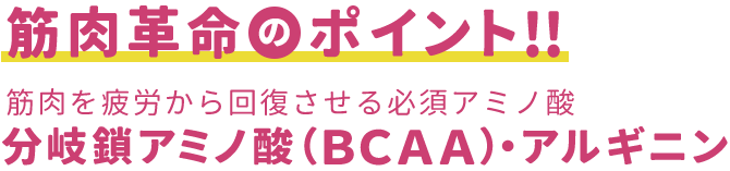 筋肉革命のポイント!! 筋肉を疲労から回復させる必須アミノ酸。分岐鎖アミノ酸（ＢＣＡＡ）・アルギニン