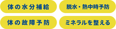 身体の水分補給、脱水・熱中時予防、身体の故障予防、ミネラルを整える　