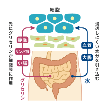 説明図