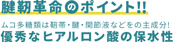 腱靭革命のポイント!! ムコ多糖類は靭帯・腱・関節液などをの主成分! 優秀なヒアルロン酸の保水性