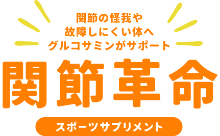 [スポーツサプリメント]関節革命/関節の怪我や故障しにくい体へグルコサミンがサポート