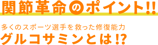 関節革命のポイント!! 多くのスポーツ選手を救った修復能力、グルコサミンとは!?