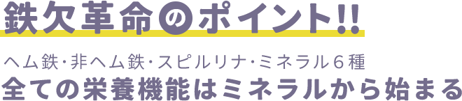 鉄欠革命のポイント!!　ヘム鉄･非ヘム鉄･スピルリナ･ミネラル６種　全ての栄養機能はミネラルから始まる