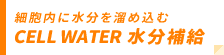 CELL WATER 水分補給/細胞内に水分を溜め込む