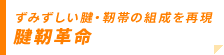 腱靭革命/ずみずしい腱・靭帯の組成を再現