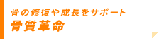 骨質革命/骨の修復や成長をサポート